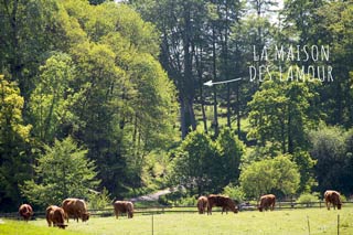 Casa vacanze per gli amanti della natura e per le famiglie